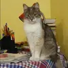 Отзыв от Елена Кудряшова